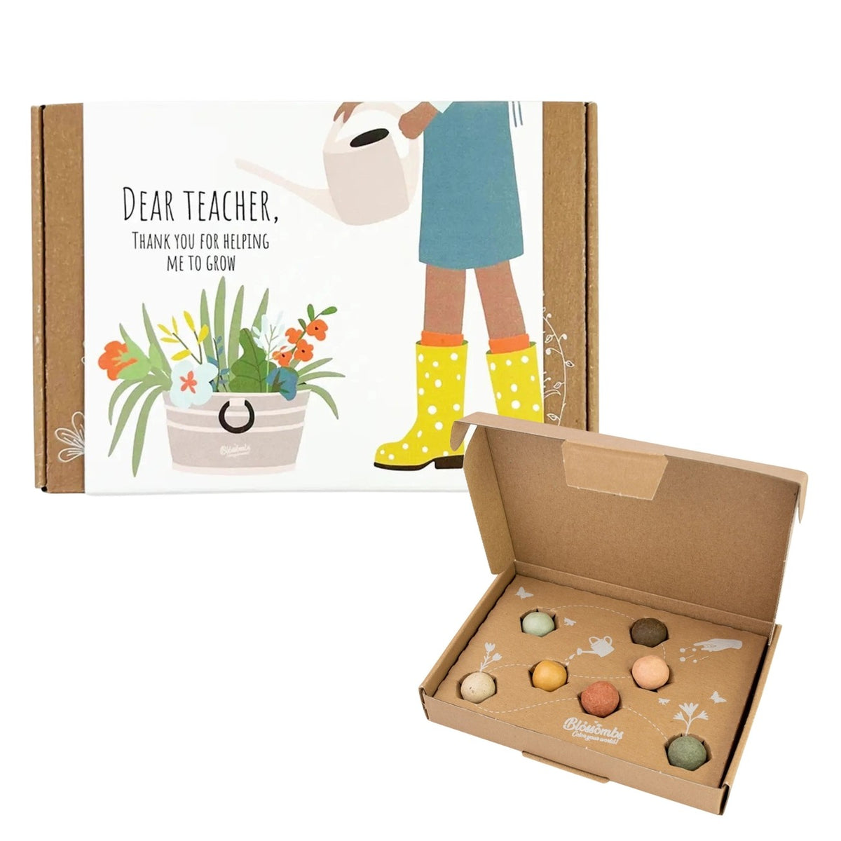 Small Dear Teacher Seed Bomb Box  7 Wild