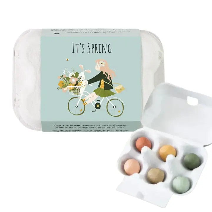 Egg Carton Hello Spring  6 Wildflower Se