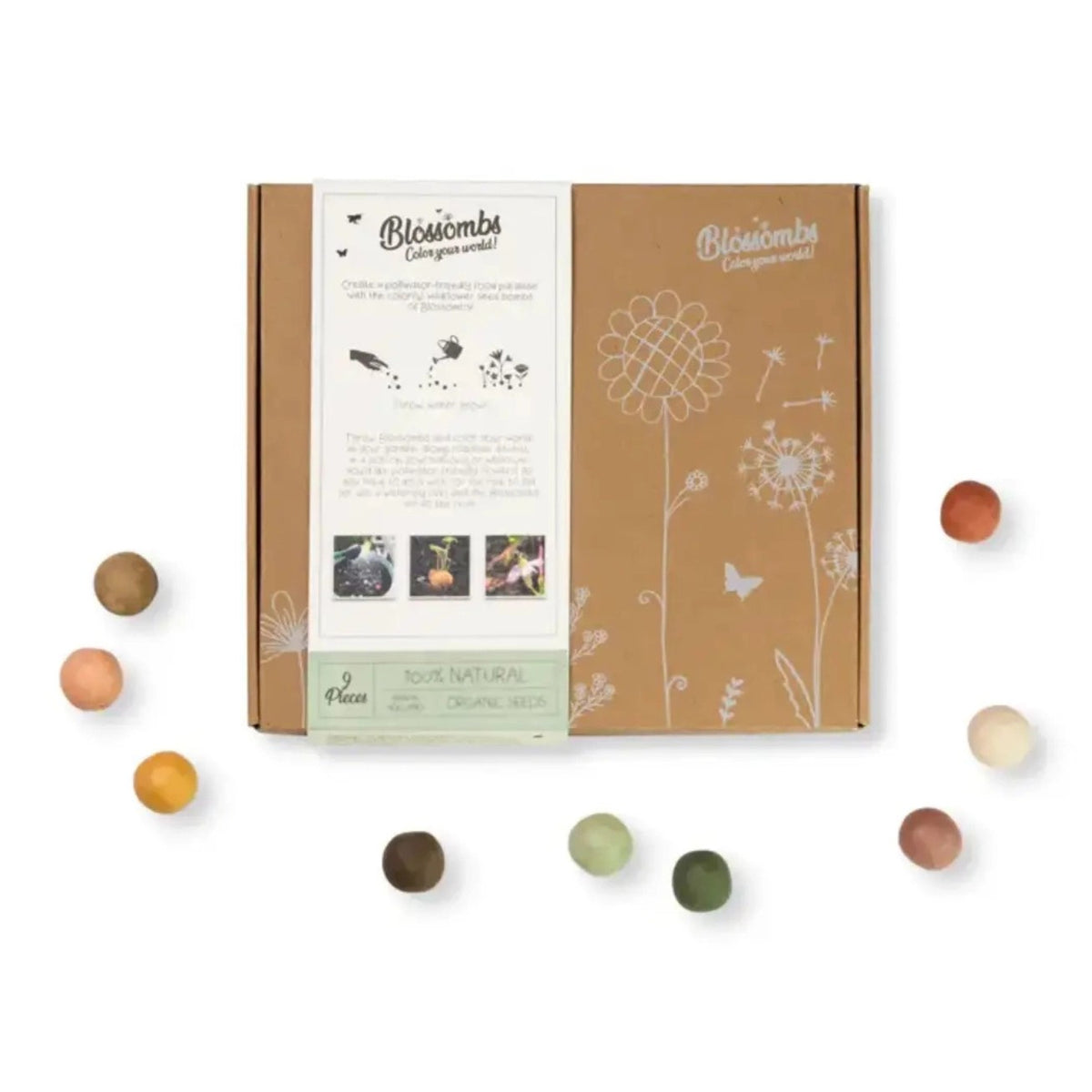 Medium Standard Wildflower Seed Bomb Box
